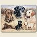 Small Cutting Board ~ Labrador Retriever - Rascal Become Legends ~ 8x10 ~ made of tempered glass ~ code 056