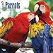 Parrots 2016 Wall Calendar