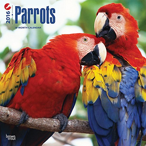 Parrots 2016 Wall Calendar
