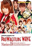 PRO WRESTLING WAVE Maniacs15 [�}�j�A�b�N�X15] [DVD]