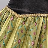 ReliBeauty Girls' Princess Elsa Fancy Dress Costume (3T, Anna)