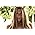 Vignette de Colbie Caillat