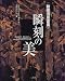 勅使河原蒼風 瞬刻の美 (Art & words)