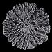 Moss Charger Dinner Plate (12"), Clear - 6 Pack