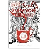 NIV Soul Survivor Youth Bible (Bible Niv)by New International Version