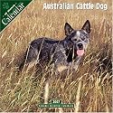 Australian Cattle Dog 2007 Wall Calendar