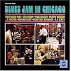 Blues Jam in Chicago 1