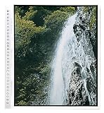 HAKUBA フォトシステムファイル SF-1替台紙 4切用 520484