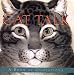 Qp Hd Cat Talk