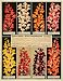 1928 Ad Grow Giant Snapdragons Seed Flowers Snowflake - Original Print Ad