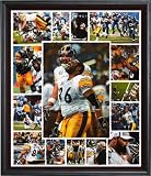 Pittsburgh Steelers - "06 Champions" - Wall - Framed Giclee
