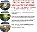 The Best Generate Extra Cash, Success Principles And Sales Models For Website Templates Businesses 3 Cd Combo Pack