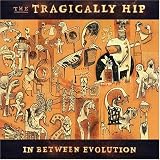 In Between Evolution [Us Import]