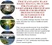 Search : The Incredible How To Earn Extra Money, Marketing and Success Principles for Handcrafted Boxes Web Businesses 3 CD Power Pack
