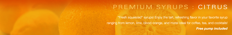 Amoretti Premium Syrups for Coffee, Tea and Beverages : Citrus