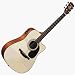 RD8C Acoustic Electric Guitar Acoustic Electric Acoustic Electric