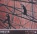 Hrsta-Stem Stem in Electro