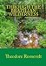 Through the Brazilian Wilderness