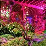 90w watt UFO Pro Hydroponic 90 UFO LED Plant Grow Light (6:1:1:1 red/blue/orange/white) , Good for Leaf.