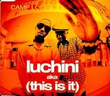 Lucini/Coolie High