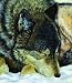 A Moment's Rest 550pc Jigsaw Puzzle by Victoria Wilson-Schultz
