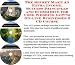 Book The Secret Make An Extra Income, Success Principles and eCommerce for Used Wedding Gowns On-line Businesses 3 CD Course