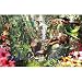 Sunsout-Asian-Forest-1000-Piece-Jigsaw-Puzzle