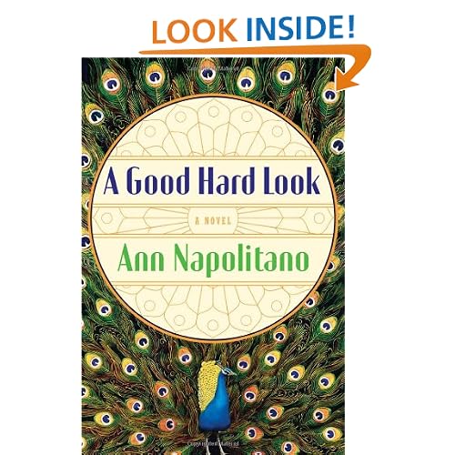 A Good Hard Look: A Novel