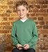 Pure Cotton Knitted V Neck Jumper