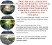 Search : The Quick and Easy Make An Extra Income, Success Principles and Biz Networking for Decals On-line Businesses 3 CD Course