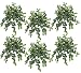 SIX 15" Mini Begonia Artificial Hanging Bushes