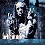 Thelema 6