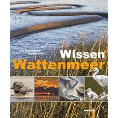 Wissen Wattenmeer