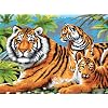15-1/4 Inch x11-1/4 Inch Junior Paint By Number Kit - Tiger & Cubs
