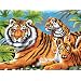 15-1/4 Inch x11-1/4 Inch Junior Paint By Number Kit - Tiger & Cubs