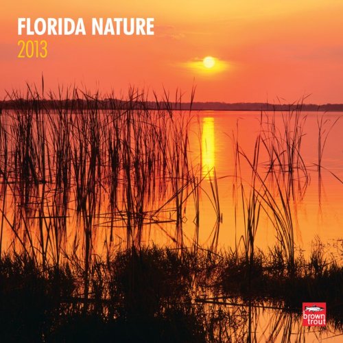 Florida Nature 2013 Square 12X12 Wall Calendar (Multilingual Edition)