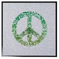 T-Shirt Frame-C