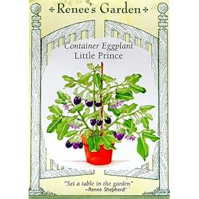 Eggplant Little Prince Container Seeds 30 Seeds