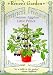 Eggplant Little Prince Container Seeds 30 Seeds