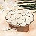 Fun Express Real Sand Dollars Plus Decorative Basket (50 and Dollars) Sea and Ocean Home Décor - VBS Vacation Bible School Supplies/Decor