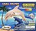 Puzzled Bottle Nose Dolphin 3D Woodcraft Construction Kit