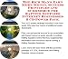 Book The Rich Man's Earn More Money, Success Principles and eCommerce for Rafting Supplies Internet Businesses 3 CD Power Pack
