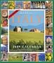 365 Days in Italy Calendar 2009 (Picture-A-Day Wall Calendars)