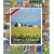 365 Days in Italy Calendar 2009 (Picture a Day Wall Calendars) (Picture-A-Day Wall Calendars)