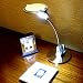 Sydney LED Desk Lamp
