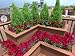 Rooftop Oasis in Chicago