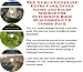 Book The Guru's Generate Extra Cash, Inner Game and Sales Models for Flyfishing Rods Businesses 3 CD Combo Pack