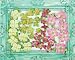 Caboodles Flowers C Pink/Green/Yellow (Prima Marketing)