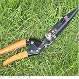 ��]���Ő��n�T�~�@No1030T