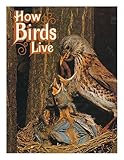 How birds live